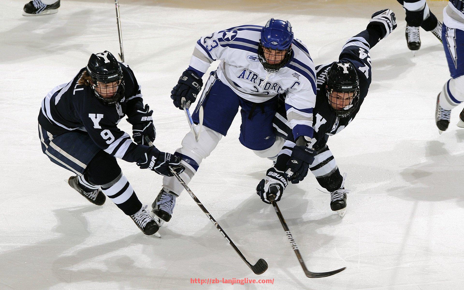 蓝鲸体育直播-密尔沃基雄鹿队如何围绕字母哥打造防守型战术体系